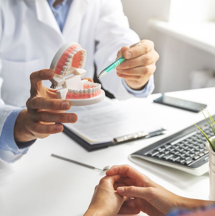 Dentist showing patient model of teeth